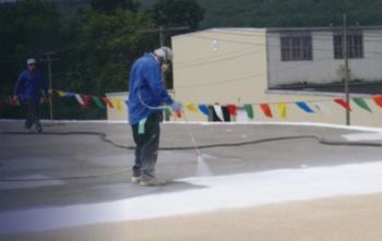 Ponds & Water Features