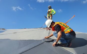 Ponds & Water Features