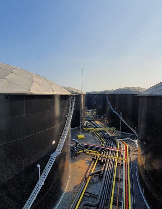 Ponds & Water Features